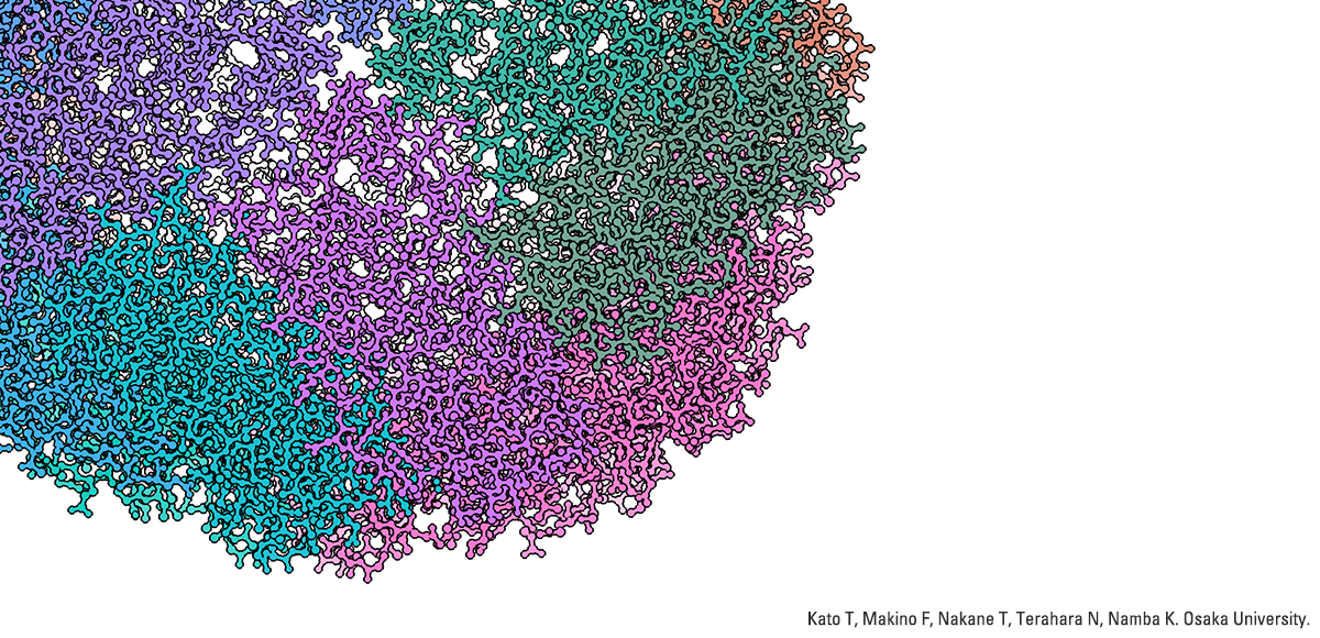 1.54 Å resolution of apoferritin