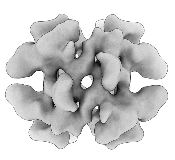 Transthyretin resolved to 4.6 Å at 100 keV