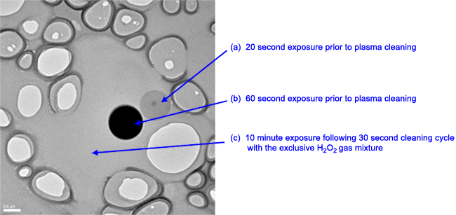 The cleaning power of Solarus: The surface of a homemade holey carbon support film above was purposefully contaminated with oil by immersing it into a solution of 50 milliliters of acetone to which one drop of oil was added. It was allowed to dry at room temperature prior to insertion into the electron microscope. To prove the presence of oil contamination on the surface of the support film, two adjacent areas (a and b) were exposed to the electron beam for 20 and 60 s, respectively. The formation of the fixed carbonaceous areas (dark disks) is the result of the condensed electron beam interacting with the oil on the surface of the support. The specimen holder, with support film intact, was then removed from the electron microscope and cleaned in the Solarus advanced plasma cleaning system for 30 s using the exclusive H2/O2 gas mixture to remove any remaining oil contamination (note that the previously exposed carbonaceous areas (a and b) remain fixed to the surface of the film). Following reinsertion into the microscope, a previously unexposed area (c) was exposed to the electron beam for 10 min. Absence of the formation of a carbonaceous area indicates that any remaining oil contamination that was originally applied to the surface of the support was successfully removed by the plasma cleaning process. Results and image courtesy of Dr. Steve Coyle of Gatan, Inc., Product Engineer for the Solarus advanced plasma cleaning system.