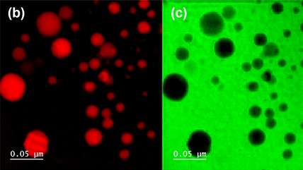 Using EELS to reveal ferric iron content from a Chang’e-5 lunar surface sample