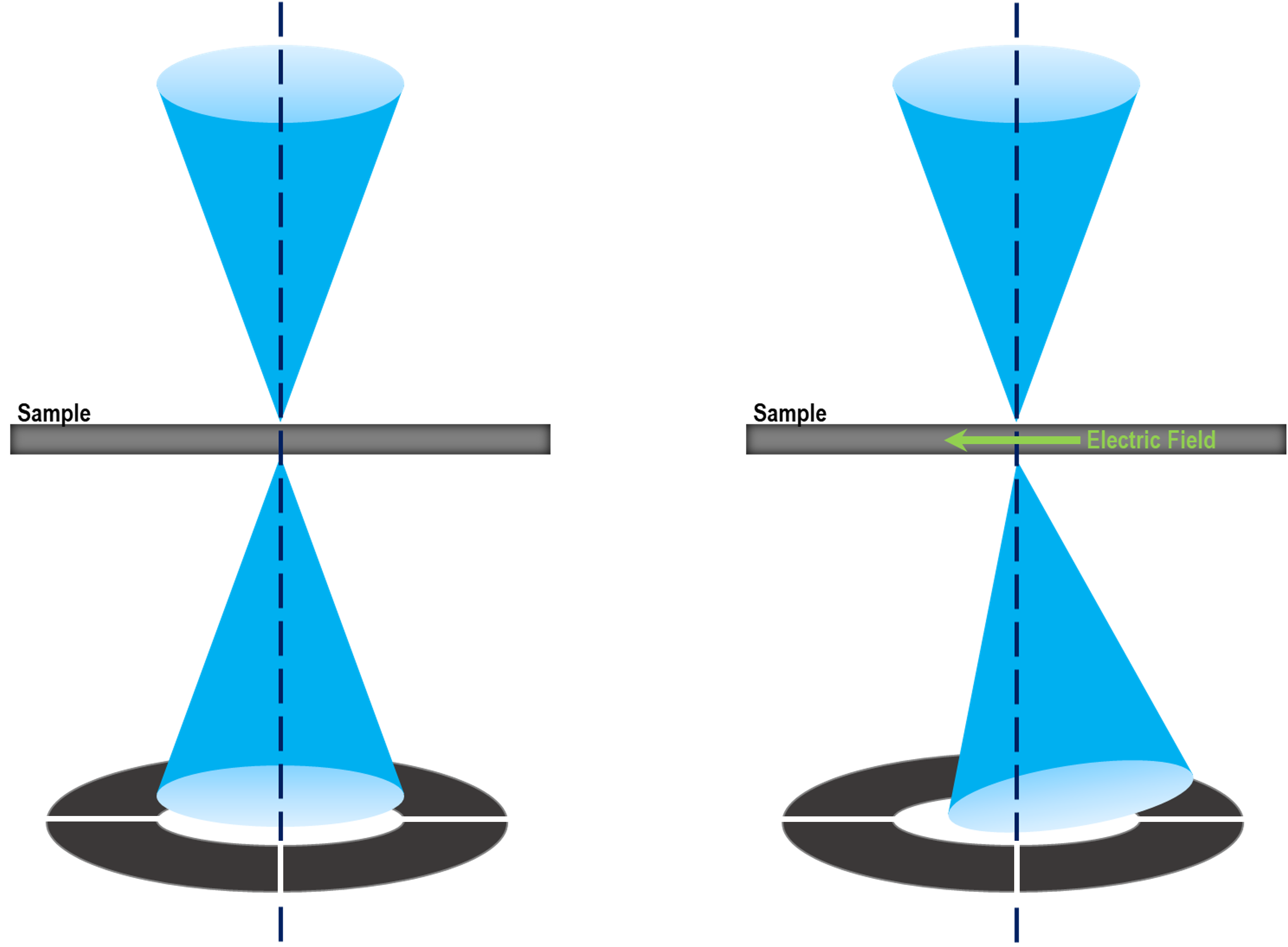 Differential Phase Contrast Gatan, Inc.