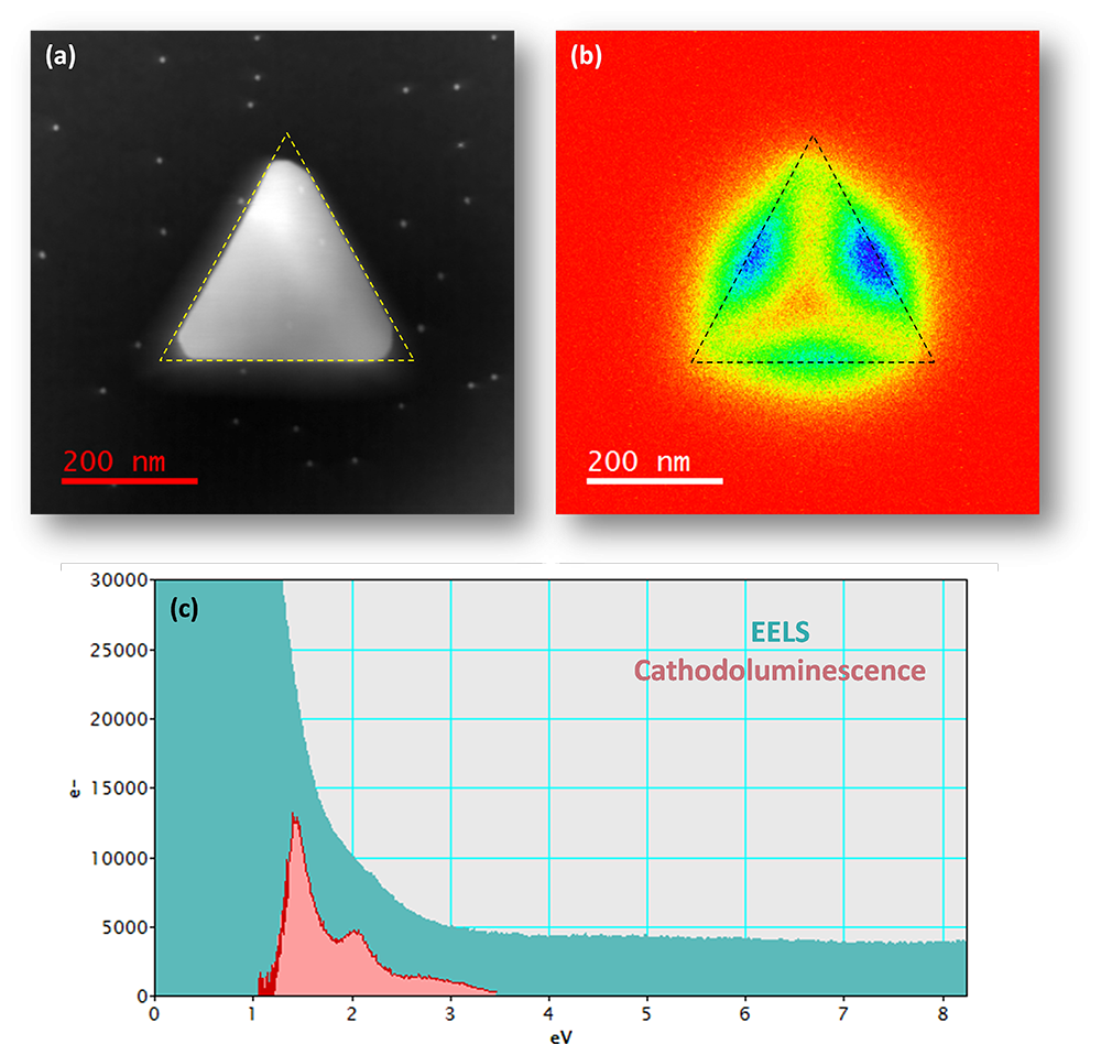 Cathodoluminescence and EELS analysis of plasmonic nanoparticles