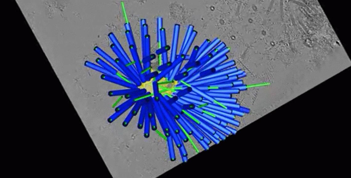 GIF Quantum LS imaging filter