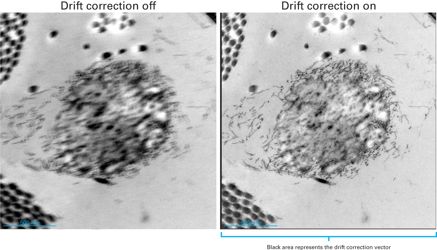 Drift correction compensates for skin cell sample motion