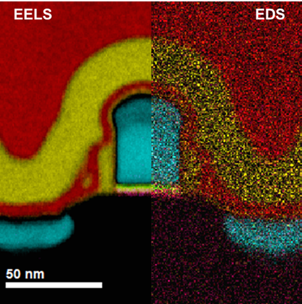 Fast joint EELS / EDS color map across a 32 nm transistor device
