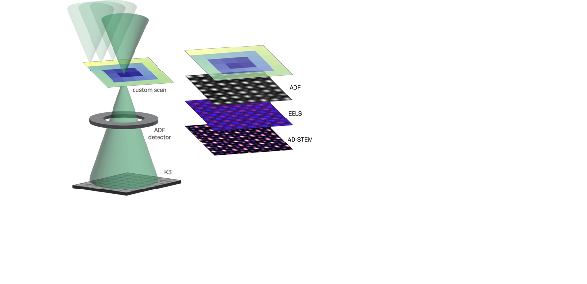 Off the grid: Advanced scanning strategies for modern STEM Off the grid: Advanced scanning strategies for modern STEM