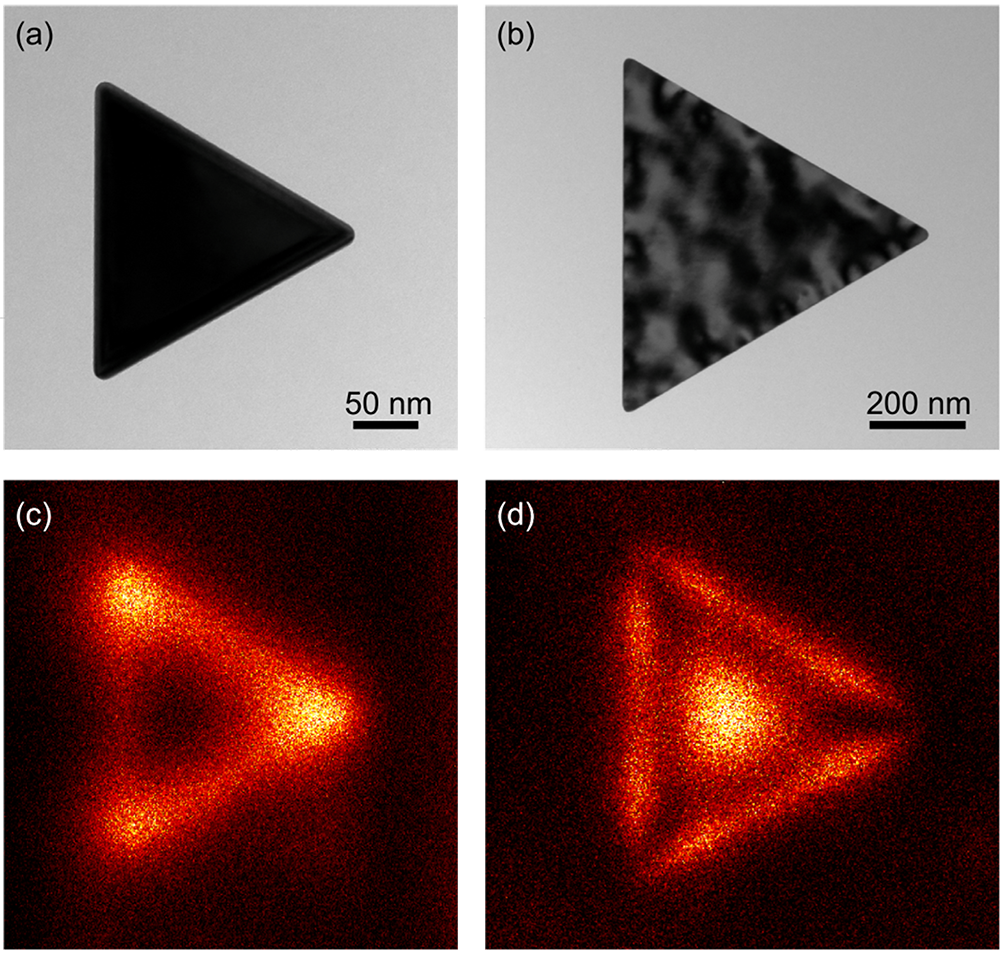 Plasmonics