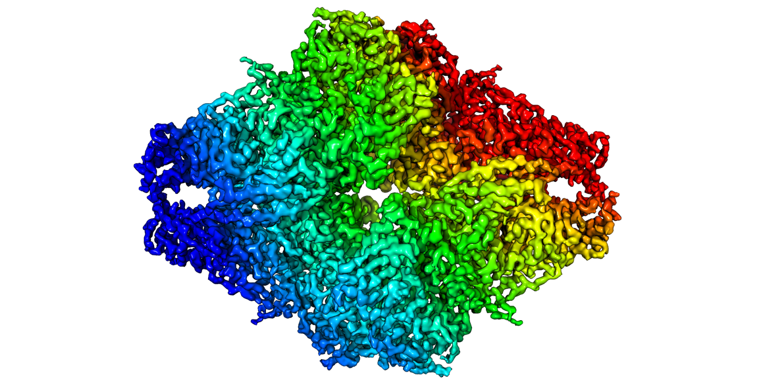 First 3.2 Å β-galactosidase structure solved by cryo-EM