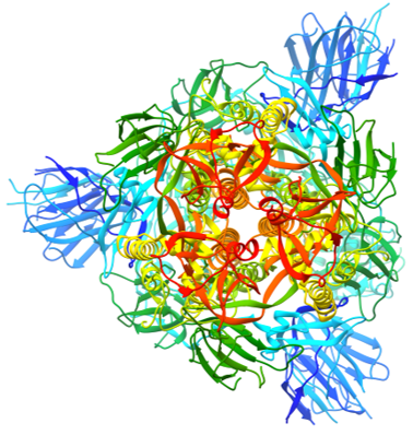 Structure of the RNA-dependent RNA polymerase from COVID-19 virus