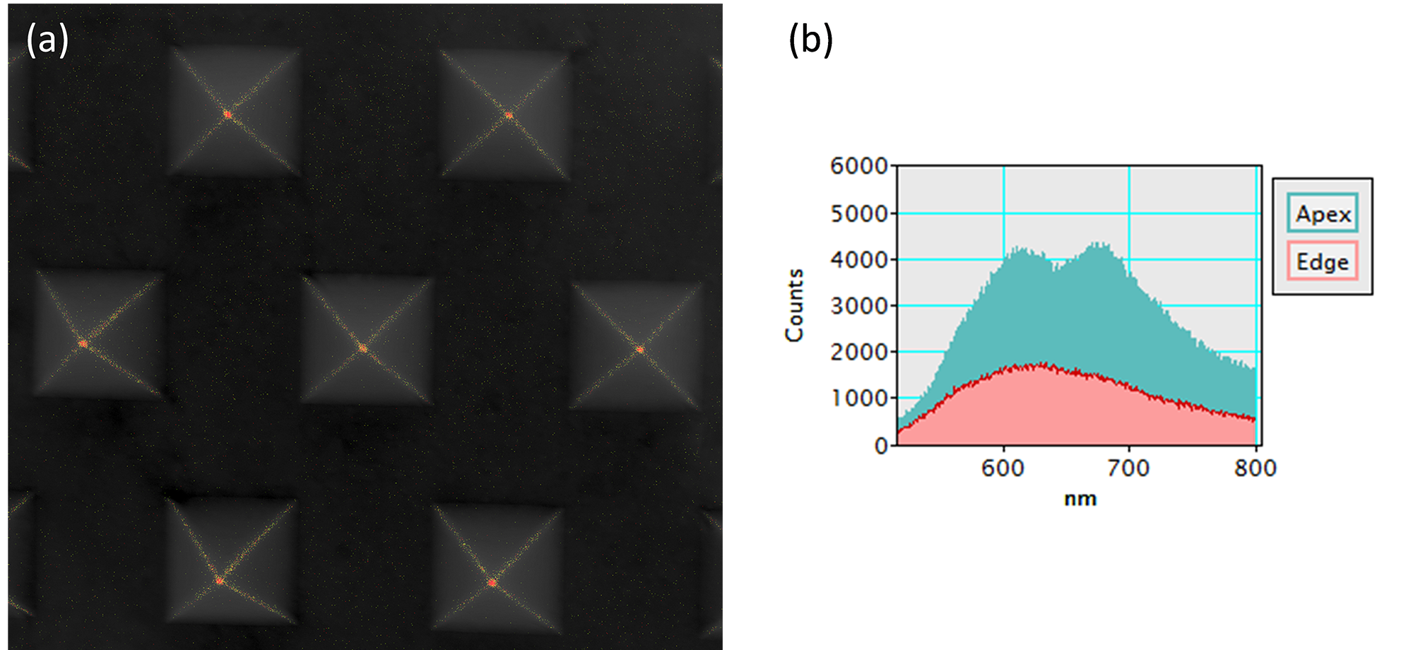 Surface plasmon resonance modes