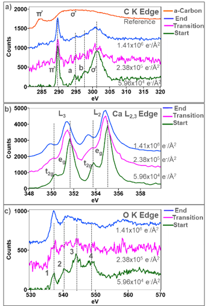 ELNES from the a) C K, b) Ca L<sub>2,3</sub>, and c) O K edges are plotted from starting, transition, and end states. The ELNES is extracted by summing over several spectra acquired from the middle of the particle. 