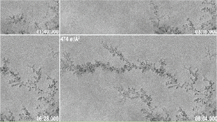 Observing beam-induced dendritic growth over two different timescales
