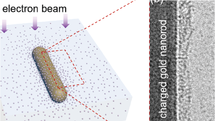 低電子線照射条件でのクライオ電子顕微鏡法(cryo-EM)と電子カウンティング法による液相-固相界面における不連続に存在するイオンの観察