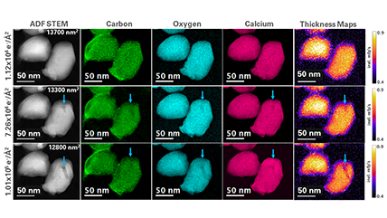 Dose fractionation using multi-pass in-situ spectrum imaging