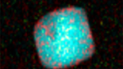 Dose fractionation using multi-pass in-situ spectrum imaging