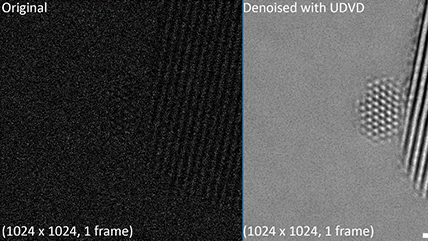 Enhancing signal-to-noise in high-resolution in-situ videos with a new AI denoising technique