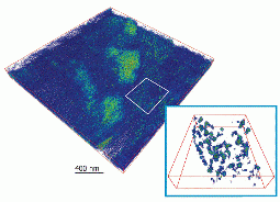 Phosphorus-containing macromolecular assemblies in the cell nuclei of drosophila larvae