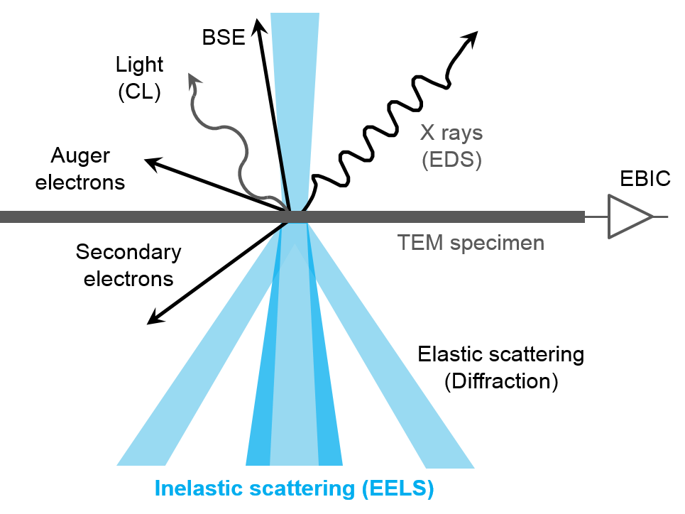 TEM試料ビームの相互作用。