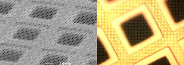 SEM image (left) and optical LM image (right) of Protochips C-flat™ ultra-flat holey carbon support CF-2/2-4C. Support hole pitch and diameter 2 μm mounted on a 400 mesh copper EM grid. A uniform grid of 2 μm holes facilitates automated data collection. Unlike most homemade and commercially available specimen supports, no plastic resin is used in the manufacturing process. (Image courtesy of Dr. David Nackashi, Protochips, Inc.)