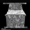 SEM Specimen Preparation