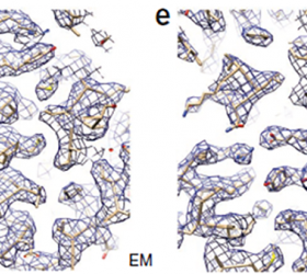 K2 camera helps identify first ~700 kDa protein structure with D7 symmetry at 3.3 Å resolution using cryo-EM