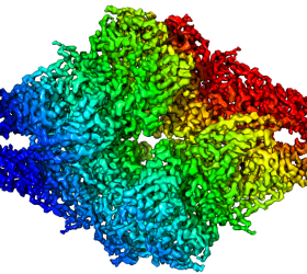 First 3.2 Å β-galactosidase structure solved by cryo-EM