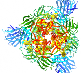 Structure of the RNA-dependent RNA polymerase from COVID-19 virus