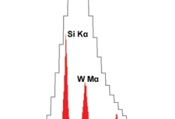 Wavelength dispersive x-ray spectroscopy (WDS)