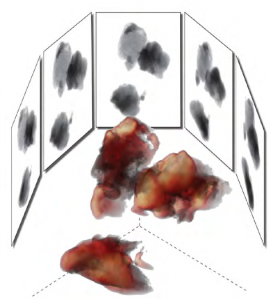 3D Tomography Acquisition Software