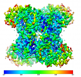 Aldolase resolved to 3.07 Å at 100 keV