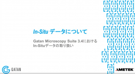 GMS 3.4におけるIn-Situデータの取り扱い：In-Situデータについて