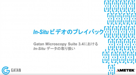 GMS 3.4におけるIn-Situデータの取り扱い：In-Situビデオのプレイバック