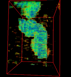 3D visualization of an individual intact chromosome 