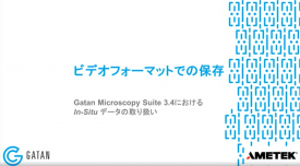 GMS 3.4におけるIn-Situデータの取り扱い：In-Situデータセットからのビデオファイルの保存