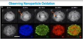 Observing sample dynamics using in-situ EELS and heating webinar