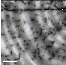 Dislocation density analysis in semiconductors