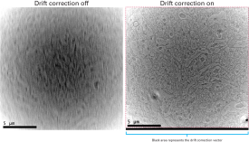 Drift correction compensates for brain sample motion