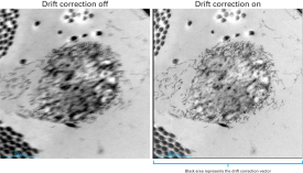 Drift correction compensates for skin cell sample motion