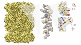 First 3D single-particle reconstruction of 20S Proteasome at 2.8 Å resolution