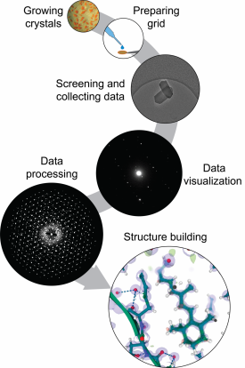 MicroED/3DED workflow