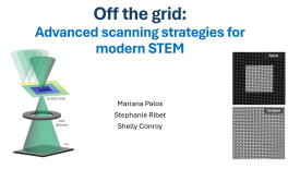 Off the grid: Advanced scanning strategies for modern STEM