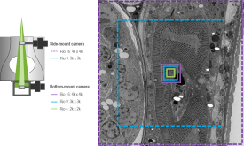 Choose the right FOV for your application