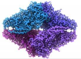 Scientists reach 2.2 Å using cryo-electron microscopy