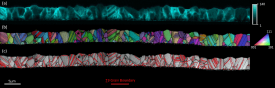 Electrical activity of grain boundaries in CdTe solar cell