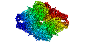 First 3.2 Å β-galactosidase structure solved by cryo-EM