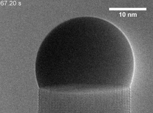 The flow of a single ML step 