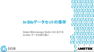 GMS 3.4におけるIn-Situデータの取り扱い：In-Situデータセットの保存