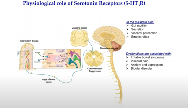 Cryo EM reveals mechanisms of gating and drug modulation in 5 HT3A receptors webinar