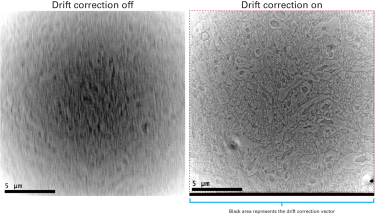 Drift correction compensates for brain sample motion
