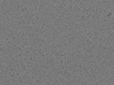K2 Summit 300 kV low-dose image